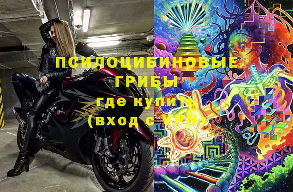 соль ск Бородино