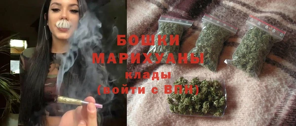 амф Богданович